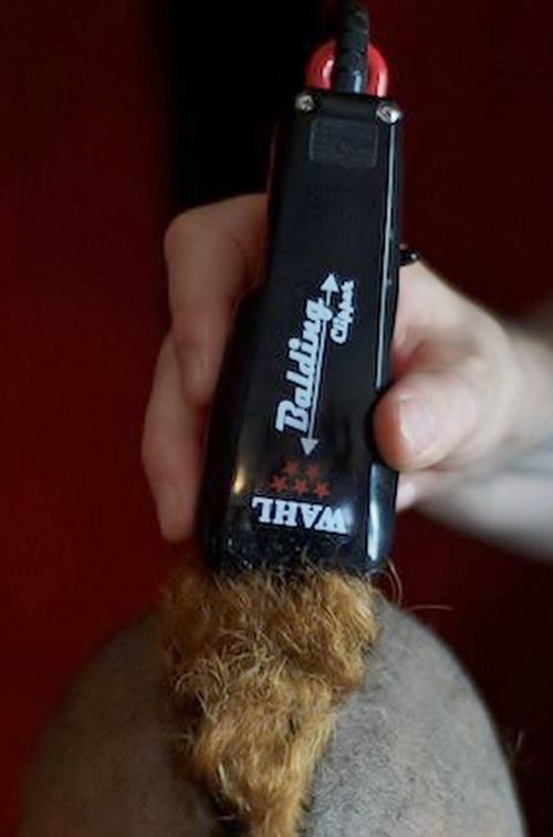 balding  clippers